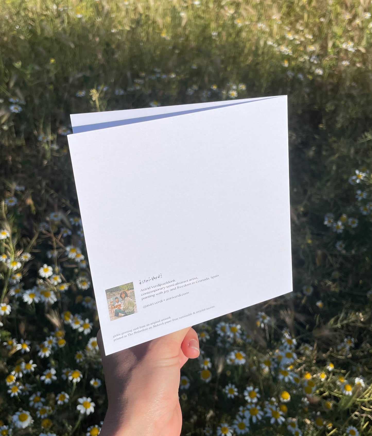 Pack of 6 Greeting Cards - Collection Andalusia