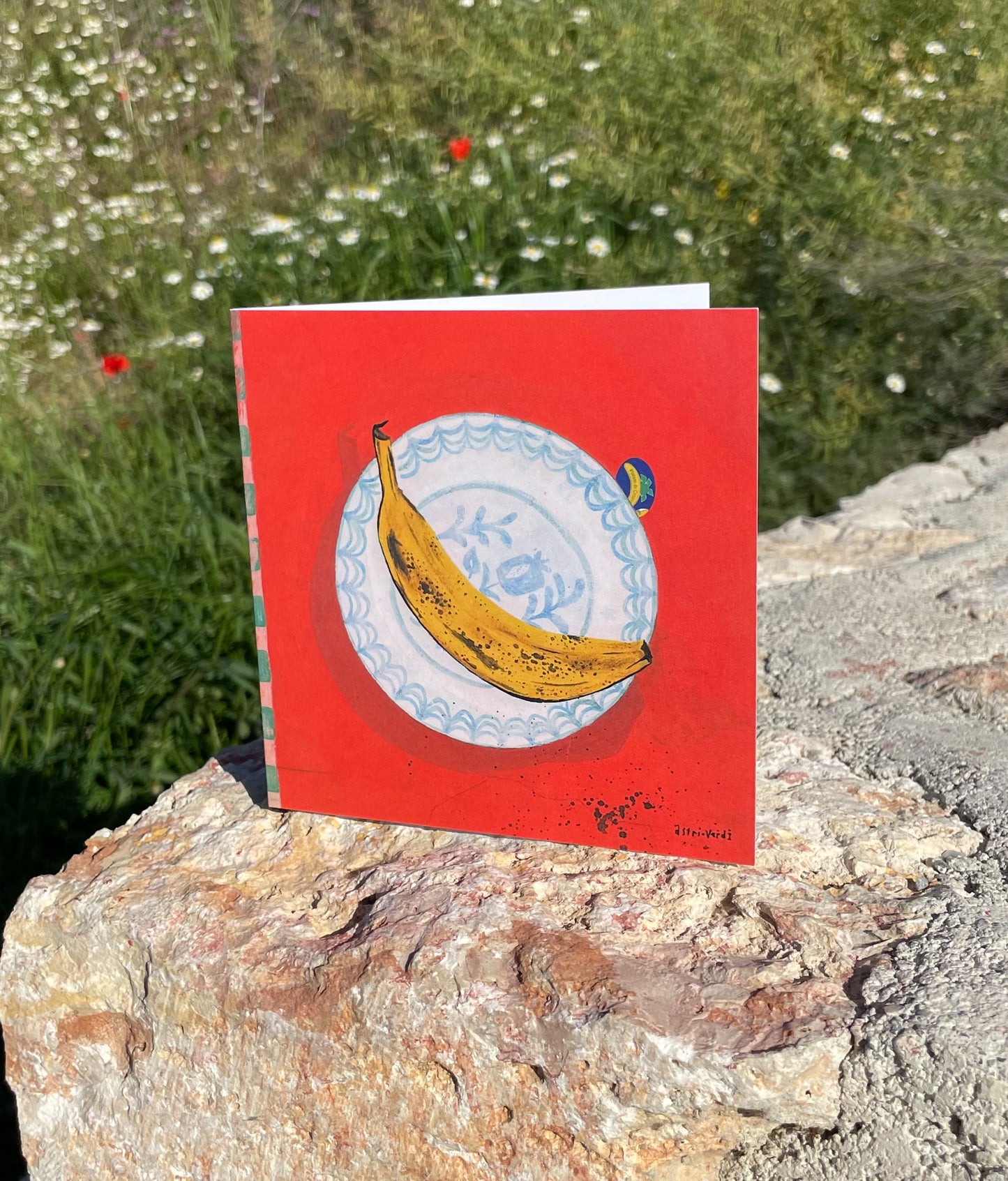 Pack of 6 Greeting Cards - Collection Andalusia