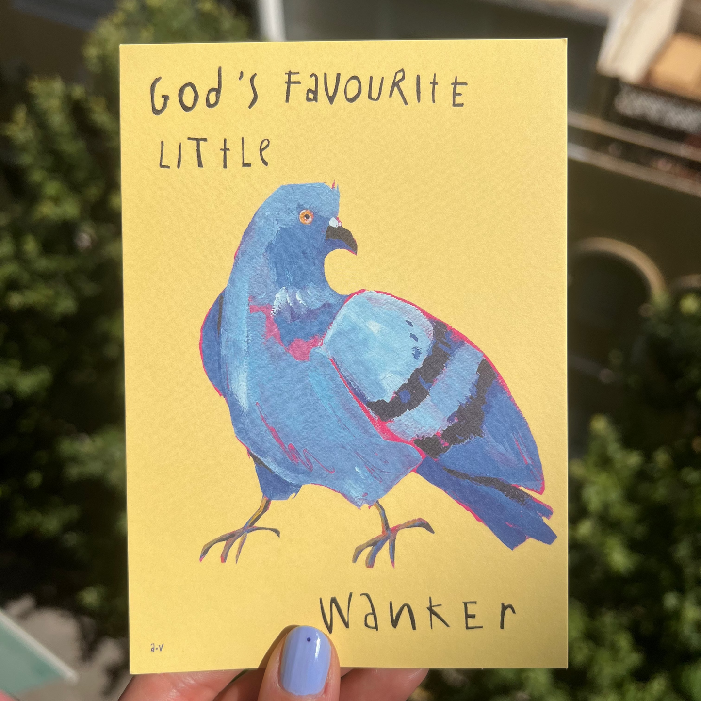 God's Favourite, Postcard