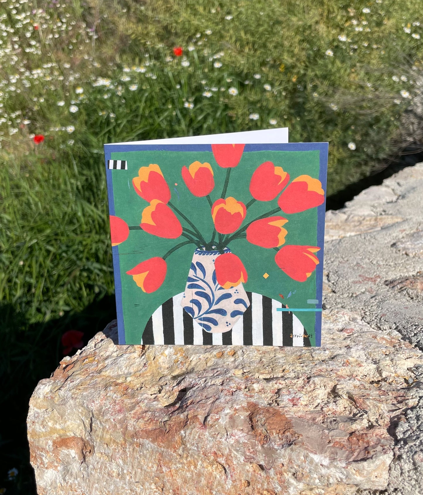 Pack of 6 Greeting Cards - Collection Andalusia