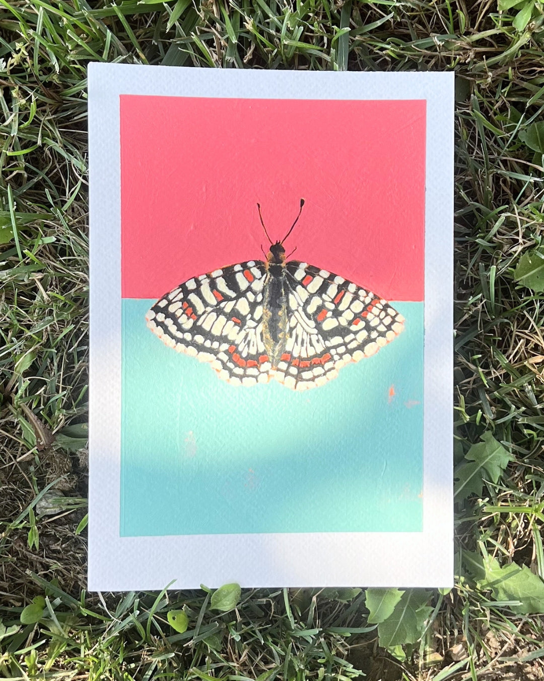 Moth in Dark Pink and Dirty Green, Original Artwork, A5