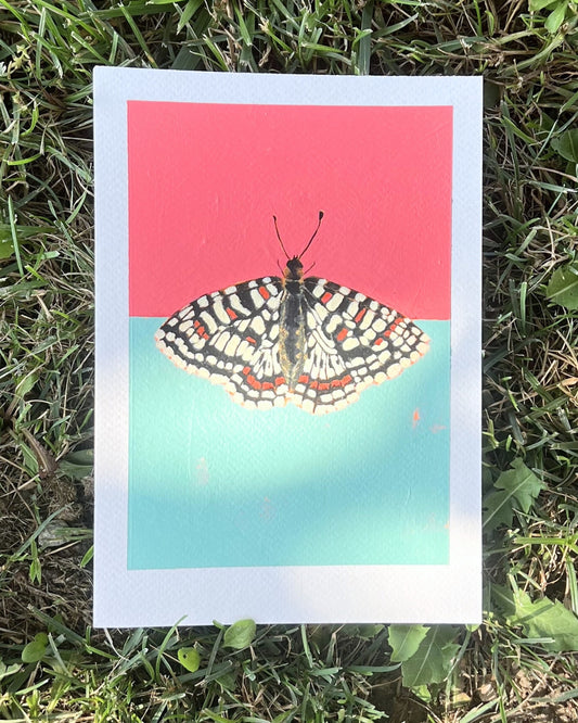 Moth in Dark Pink and Dirty Green, Original Artwork, A5