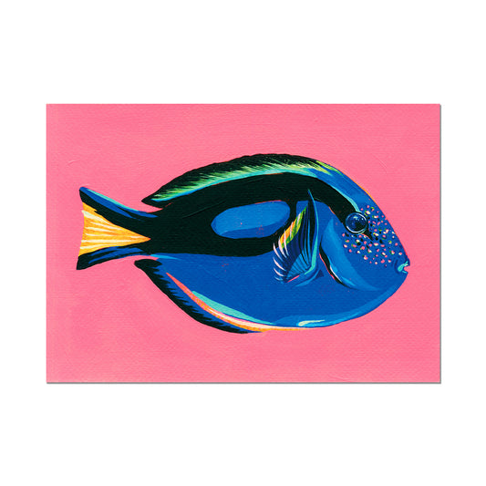 Blue Tang, Limited Edition Art Print