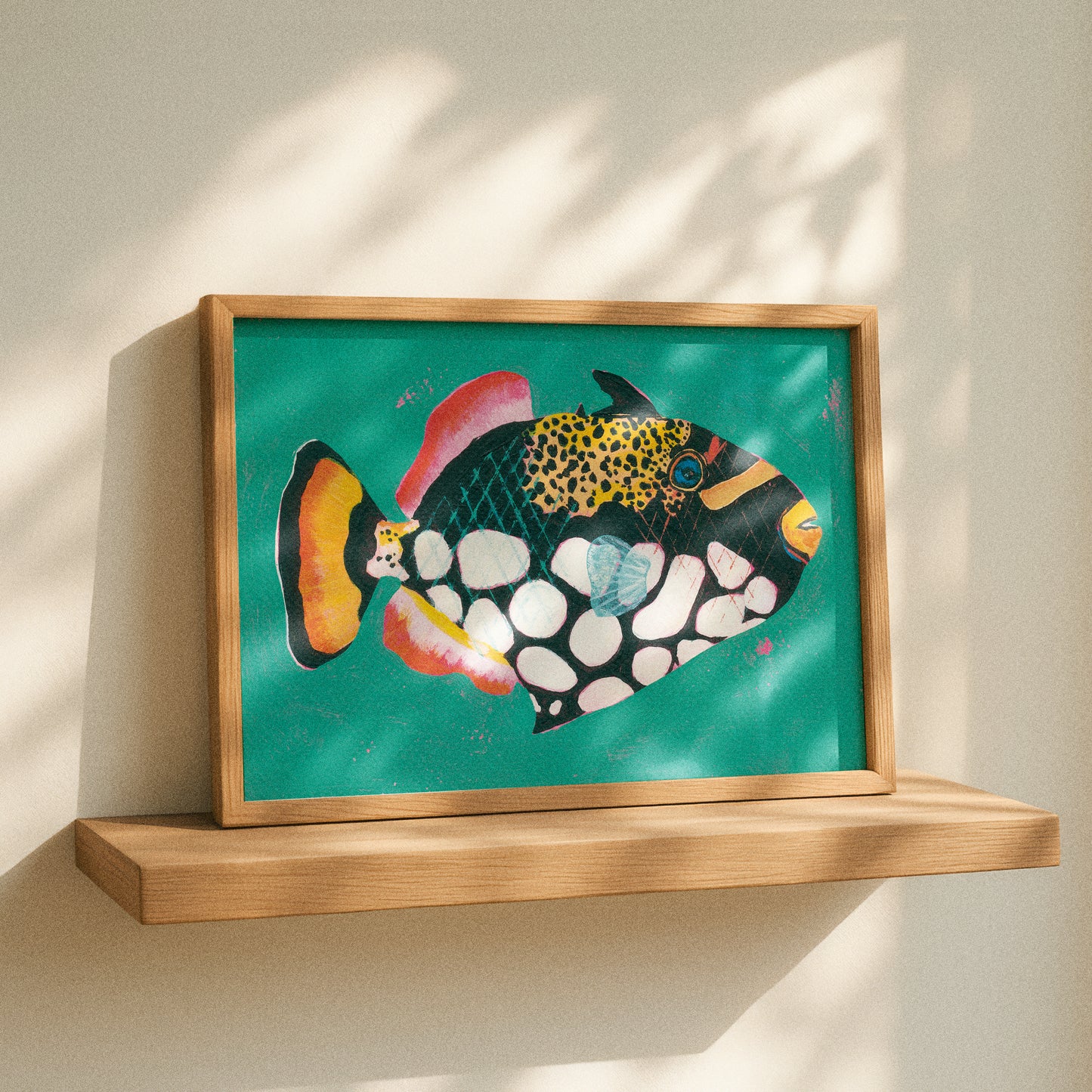 Clown Triggerfish, Limited Edition Art Print