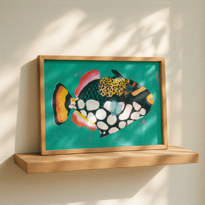 Clown Triggerfish, Limited Edition Art Print