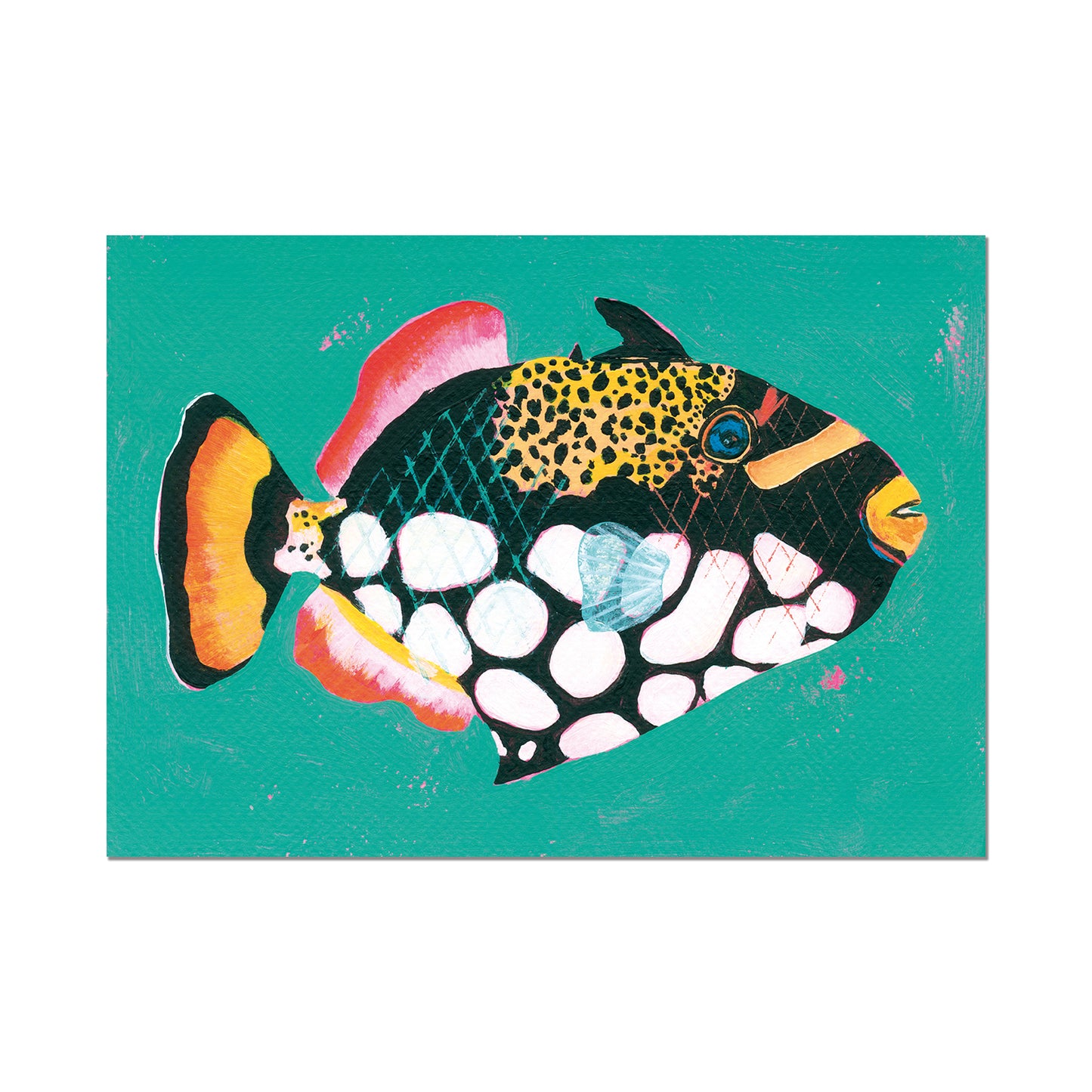Clown Triggerfish, Limited Edition Art Print