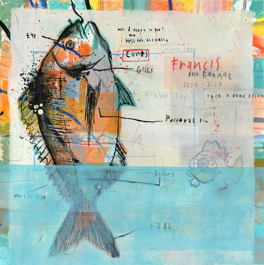 Francis the Dorade, 29,5 x 29,5 cm