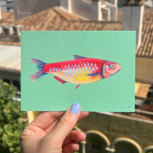 Turquoise Sardine, Limited Edition Postcard (Postart 10)