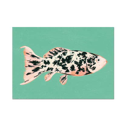Molly, Limited Edition Art Print