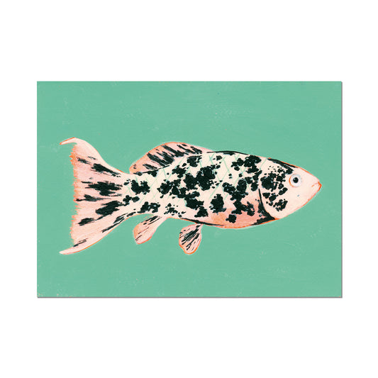 Molly, Limited Edition Art Print