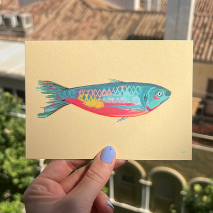 Sardine's Sister, Postcard