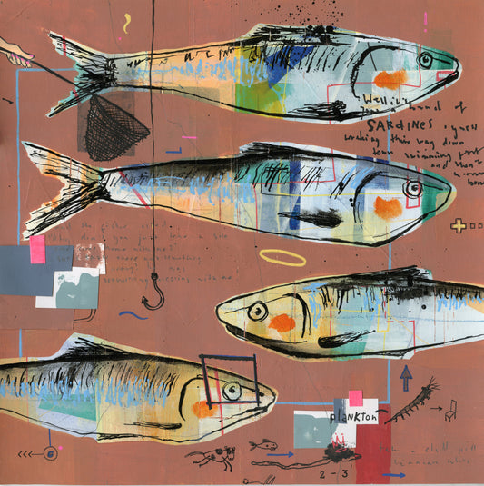 Sardines, 29,7 x 29,7 cm