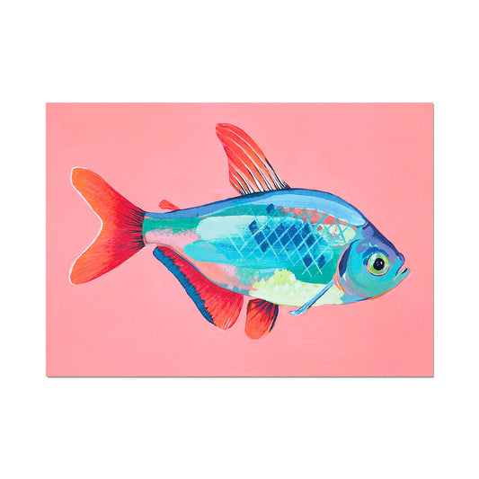 Tetra Fish, Limited Edition Art Print