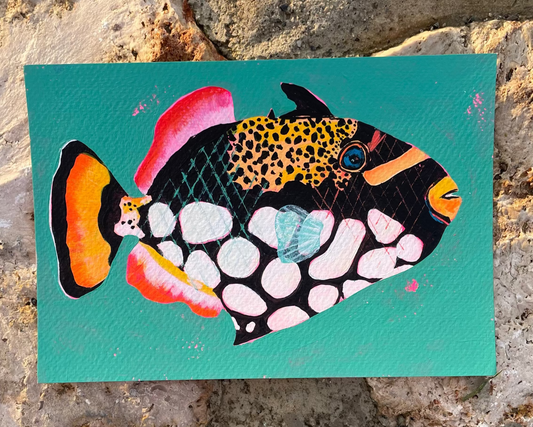 Colorful fish illustration of a Clown Triggerfish on a teal background, placed on a textured stone surface.
