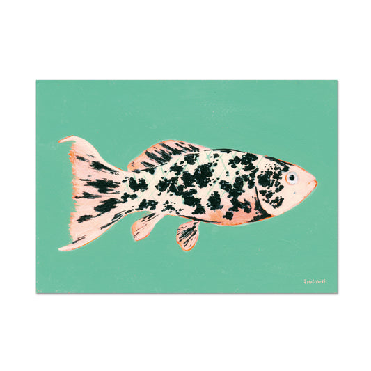 Fish 30/30, Fine Art Print