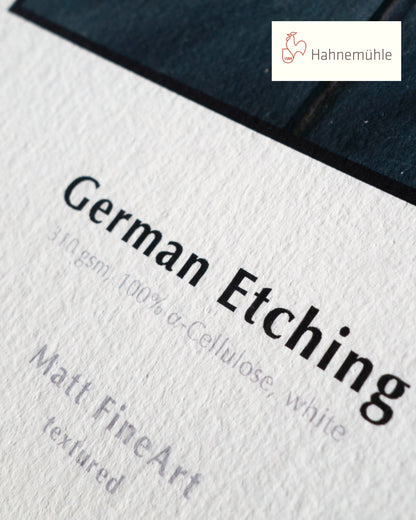 Fish 30/30, Fine Art Print